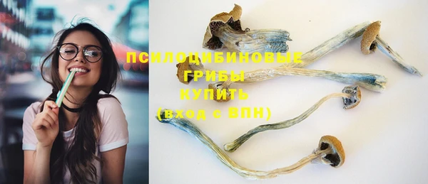 Альфа ПВП Арсеньев