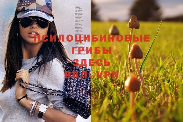 МДМА Снежногорск