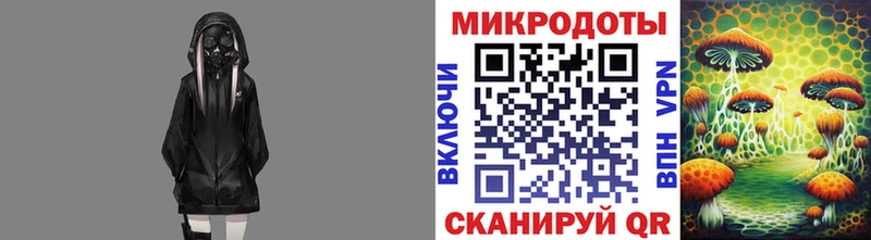 даркнет как зайти  Шуя  Галлюциногенные грибы Psilocybine cubensis  даркнет сайт 
